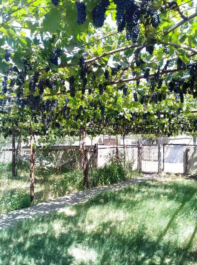 Wine Valley Удабно Экстерьер фото